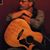 Ken Schnedetz's profile image