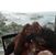 Lori Seward's profile image