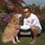 Rick Vogel's profile image