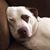 Julie Miller Kalbacher's profile image