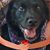 Deborah Littlefield Good's profile image