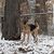 Bill N Deena Kochvar's profile image