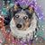 Stoney Bell's profile image