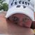 Rachel Monagle's profile image