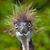 Janice McReynolds's profile image