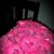 Edith Rodriguez's profile image