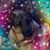 Theresa Malacina Field's profile image