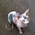 Judy Grzegorski's profile image