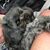 Amanda Collins Sims's profile image