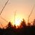 Wendy Pelkey's profile image