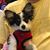 Rhonda Tugg's profile image