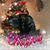 Karen Kendall Lovett's profile image