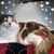 Janet Lindley's profile image