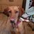 Makayla May Delair's profile image