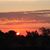 Annette Gile's profile image