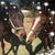 Karla Hoggan's profile image