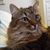 Shirley Gantt's profile image