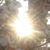 Susan Turmell's profile image