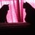Pam Requa Arnold's profile image