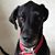 Kimmi Gordon's profile image