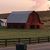 Lisa Hafer Hite's profile image