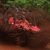 Karen Elliott Bowers's profile image