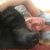 Christine Donati's profile image