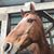 Brenda Moak's profile image
