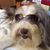 Patricia Bleil's profile image