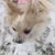 Emma Ellis Olgers's profile image