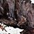 Justin Ridgely's profile image