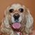 Sharon Menegoni's profile image