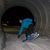 Andrew L Sarris's profile image