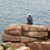 Michael Abhiram Hale's profile image