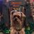 Maggie Just-Maggie's profile image