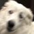 Casey Corcoran's profile image