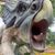 Andre Io Mi's profile image