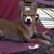 Luisa Topete's profile image