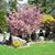 Barbara J. Ingold-Scarnechia's profile image