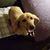 Peggy Smithley's profile image
