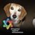 Beverly Beutler's profile image