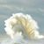 Debbie Dawson's profile image