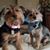 Audrey Applegate's profile image