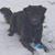 Laurie Burgoyne's profile image