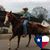 Bob Drown's profile image