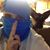 Jason Petrey's profile image