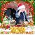 Tammy M Colter's profile image