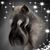 Renee Kwiatkowski's profile image