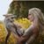 Ann Tholl's profile image