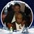 Stanley Barnes Sr.'s profile image